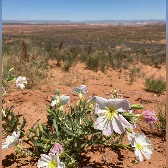 Meet your Posher, Grace - Picture 9 of 11